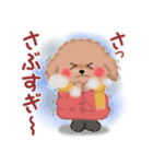 かわいいトイプードル「冬」（個別スタンプ：3）