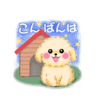 かわいいトイプードル「冬」（個別スタンプ：4）