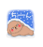 かわいいトイプードル「冬」（個別スタンプ：19）