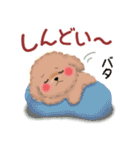 かわいいトイプードル「冬」（個別スタンプ：22）