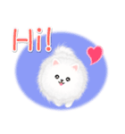 綿毛ポメちゃん（個別スタンプ：3）