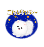 綿毛ポメちゃん（個別スタンプ：5）