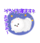 綿毛ポメちゃん（個別スタンプ：6）