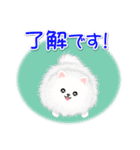 綿毛ポメちゃん（個別スタンプ：9）