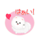 綿毛ポメちゃん（個別スタンプ：11）