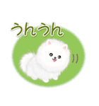 綿毛ポメちゃん（個別スタンプ：12）