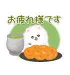 綿毛ポメちゃん（個別スタンプ：13）