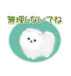 綿毛ポメちゃん（個別スタンプ：16）