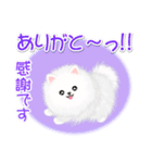 綿毛ポメちゃん（個別スタンプ：17）