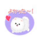 綿毛ポメちゃん（個別スタンプ：21）
