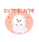 綿毛ポメちゃん（個別スタンプ：23）