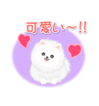 綿毛ポメちゃん（個別スタンプ：24）