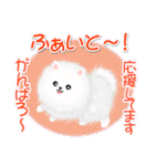 綿毛ポメちゃん（個別スタンプ：25）