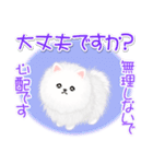 綿毛ポメちゃん（個別スタンプ：26）