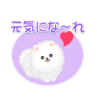 綿毛ポメちゃん（個別スタンプ：27）
