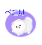 綿毛ポメちゃん（個別スタンプ：28）