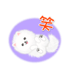 綿毛ポメちゃん（個別スタンプ：31）