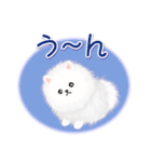 綿毛ポメちゃん（個別スタンプ：33）