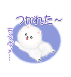 綿毛ポメちゃん（個別スタンプ：35）