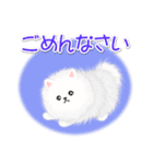 綿毛ポメちゃん（個別スタンプ：36）