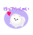 綿毛ポメちゃん（個別スタンプ：37）