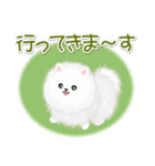 綿毛ポメちゃん（個別スタンプ：38）
