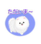 綿毛ポメちゃん（個別スタンプ：39）