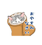 動く猫のスタンプ2（個別スタンプ：2）