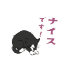 動く猫のスタンプ2（個別スタンプ：4）