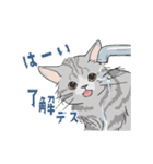 動く猫のスタンプ2（個別スタンプ：6）