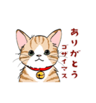 動く猫のスタンプ2（個別スタンプ：7）