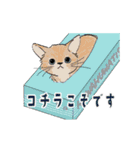 動く猫のスタンプ2（個別スタンプ：8）