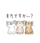 動く猫のスタンプ2（個別スタンプ：13）