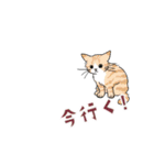 動く猫のスタンプ2（個別スタンプ：14）