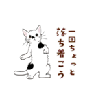 動く猫のスタンプ2（個別スタンプ：20）