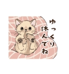 動く猫のスタンプ2（個別スタンプ：23）