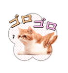 ドラマ『婚姻届に判を捺しただけですが』（個別スタンプ：40）