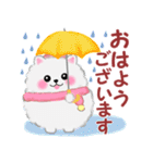 冬に使えるポメラニアン「ぽちゃん」改訂版（個別スタンプ：3）