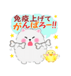 冬に使えるポメラニアン「ぽちゃん」改訂版（個別スタンプ：19）
