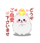 冬に使えるポメラニアン「ぽちゃん」改訂版（個別スタンプ：20）