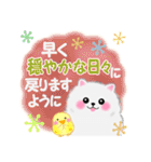 冬に使えるポメラニアン「ぽちゃん」改訂版（個別スタンプ：24）