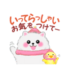 冬に使えるポメラニアン「ぽちゃん」改訂版（個別スタンプ：30）