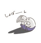 うさぎタイツ × ねこタイツ（個別スタンプ：30）