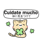 ねことうさぎ スペイン語2（個別スタンプ：13）