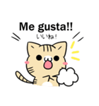 ねことうさぎ スペイン語2（個別スタンプ：15）