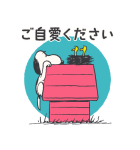 飛び出す！スヌーピー冬のグリーティング（個別スタンプ：21）