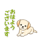 ちびラブラドールの毎日（個別スタンプ：1）