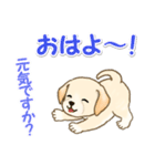 ちびラブラドールの毎日（個別スタンプ：2）