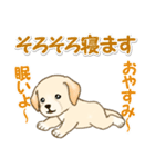 ちびラブラドールの毎日（個別スタンプ：5）