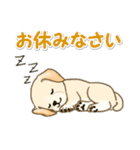 ちびラブラドールの毎日（個別スタンプ：6）
